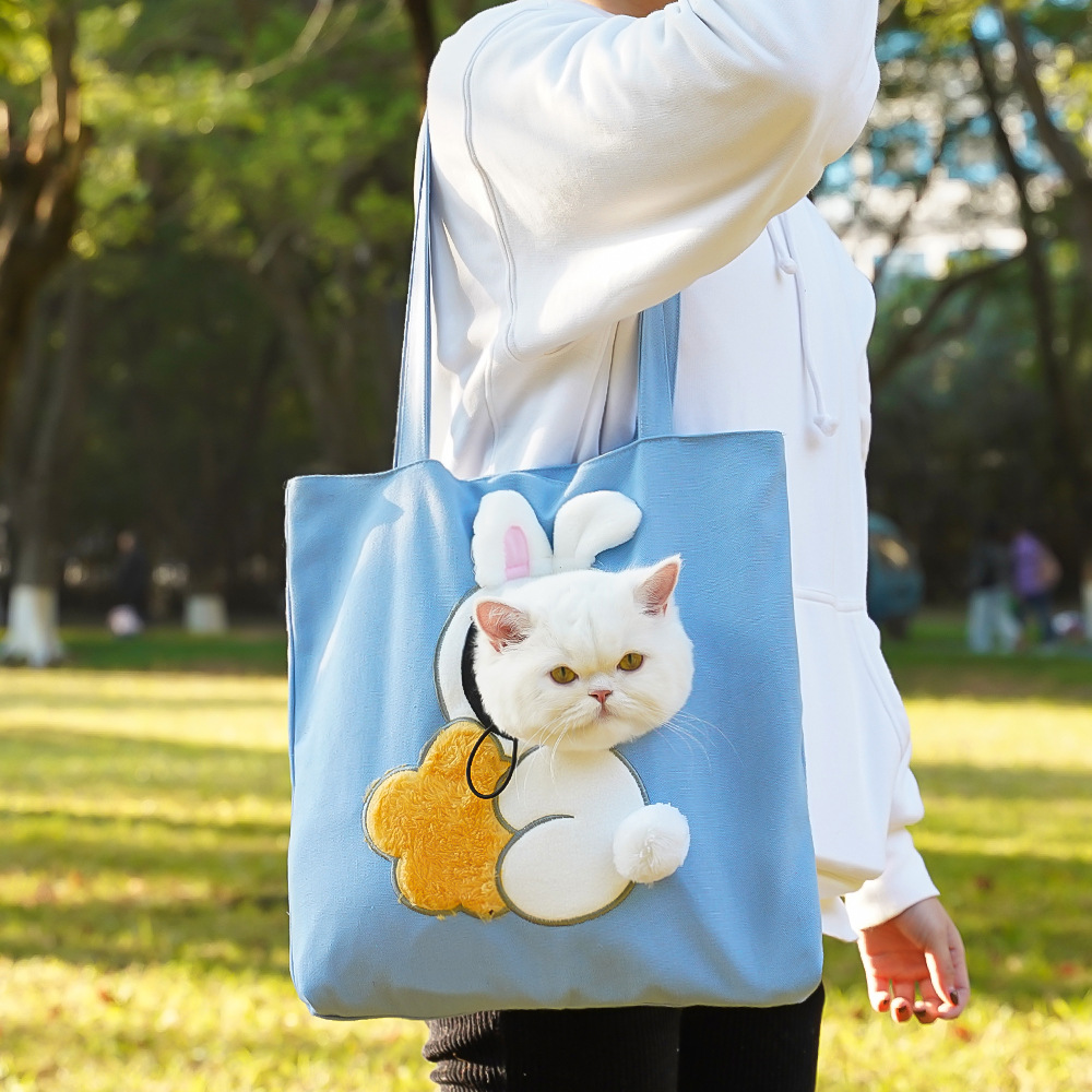 🐾 Cute Pet Carrier Tote – Up to 50% OFF! 🎉