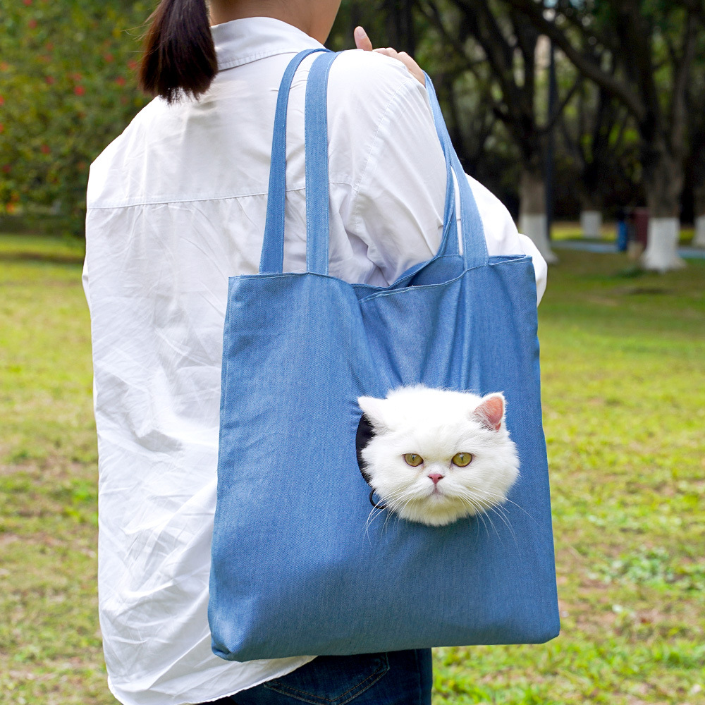 🐾 Cute Pet Carrier Tote – Up to 50% OFF! 🎉